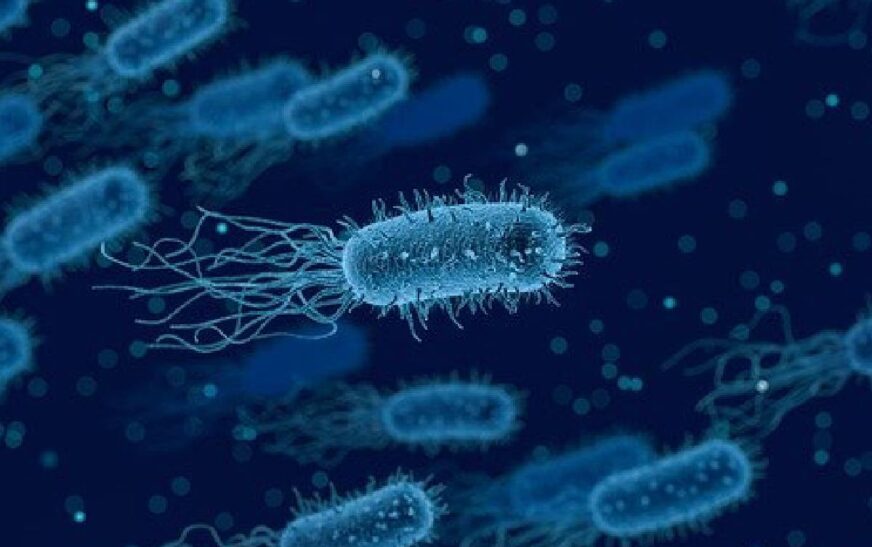 «Broto de crisis sanitaria: décima parte de los bebés estadounidenses hospitalizados por un brote de botulismo que asombra a la comunidad médica»