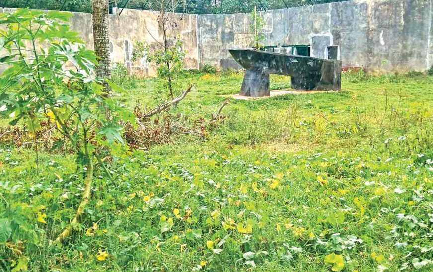Desastre en el corazón de la naturaleza: Santuario animal del Parque Naturalia quedó sin vida después de abandono inesperado.