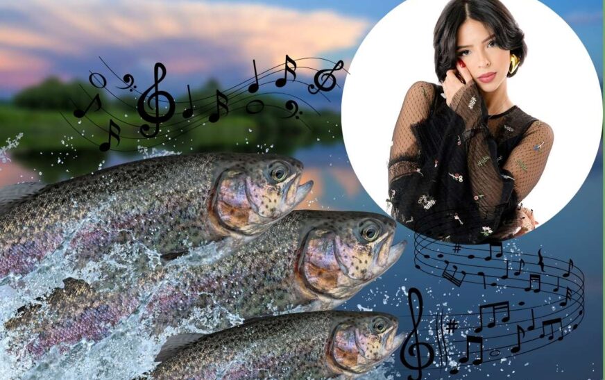 El legado de una canción eterna: descubre quiénes han vuelto a hacer sonar la melodía de «Los peces en el río»