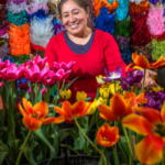 Florece campo mexicano este 14 de febrero con rosas, gladiolas y gerberas