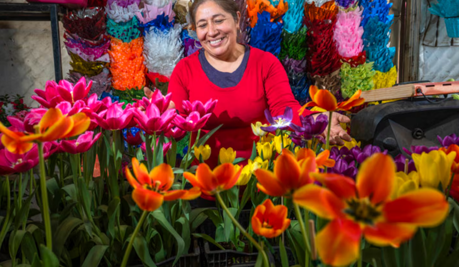 Florece campo mexicano este 14 de febrero con rosas, gladiolas y gerberas
