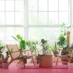 Estas plantas podrían estar saboteando la energía de tu casa, según el feng shui